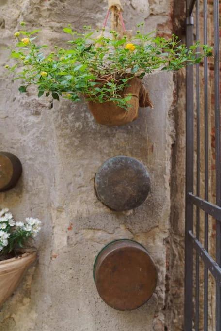 Corte Paolina - Charming Courtyard Inside Lucques Extérieur photo